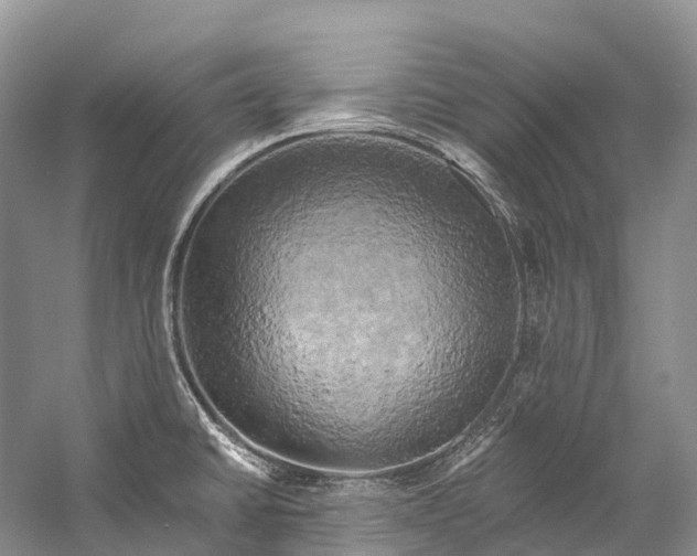 X0000058801430200510171335