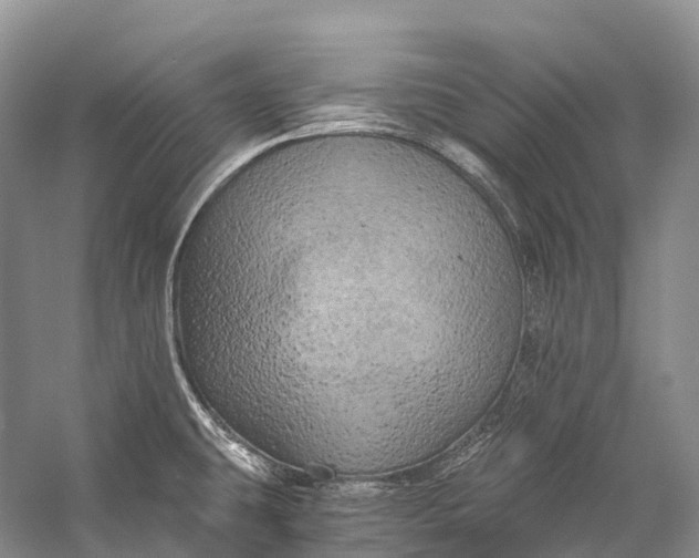 X0000058801431200510171335