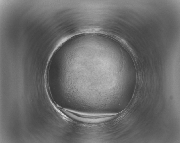 X0000058801432200510171335