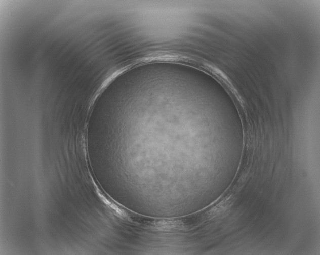 X0000058801433200510171335