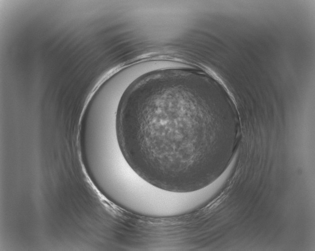 X0000058801434200510171335