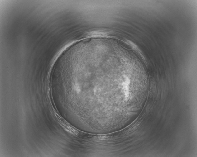 X0000058801435200510171335