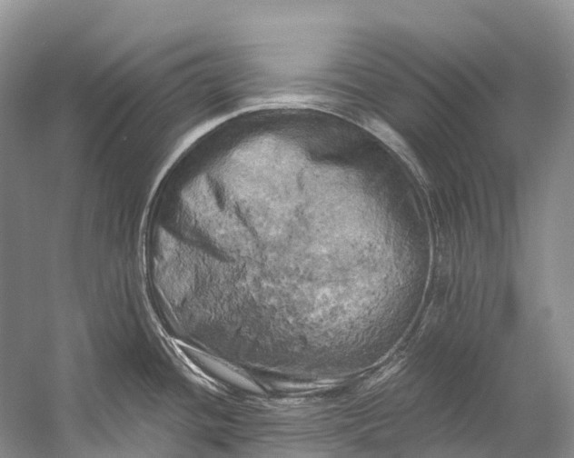 X0000058801436200510171335