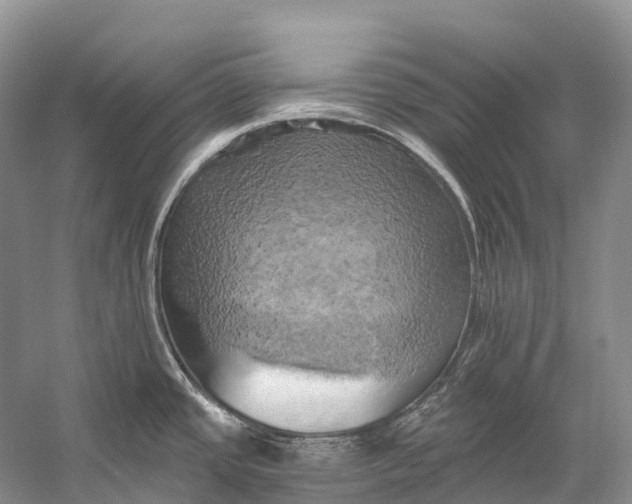 X0000058801437200510171335