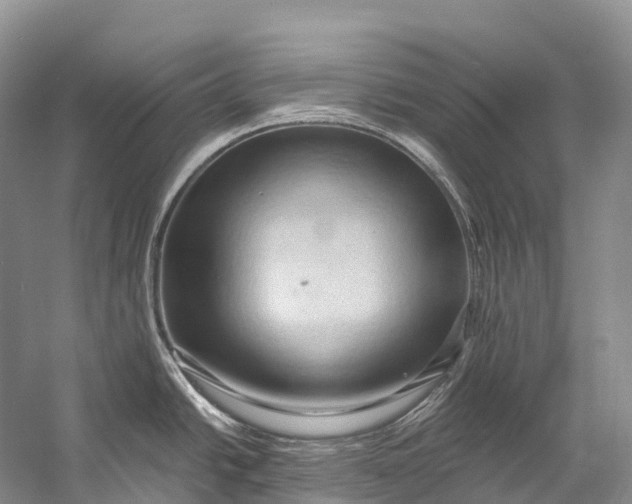 X0000058801438200510171335