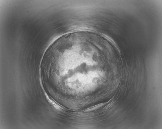 X0000058801439200510171335