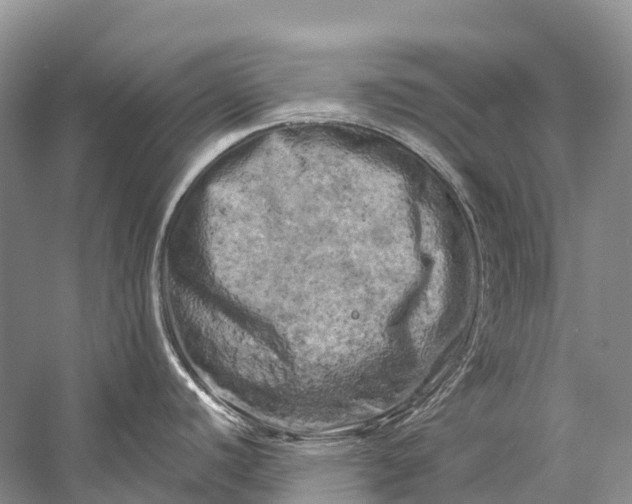 X0000058801440200510171335