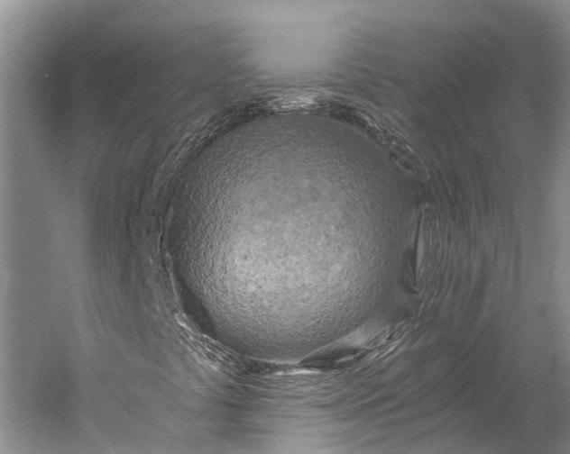 X0000058801441200510171334