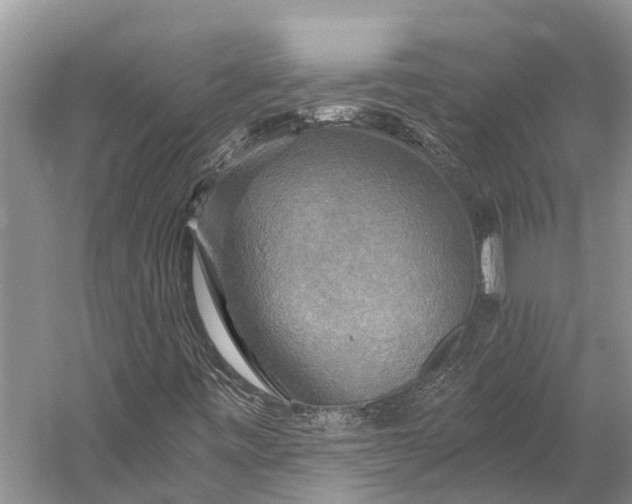 X0000058801443200510171334