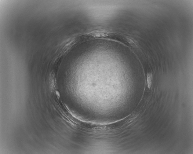 X0000058801444200510171334