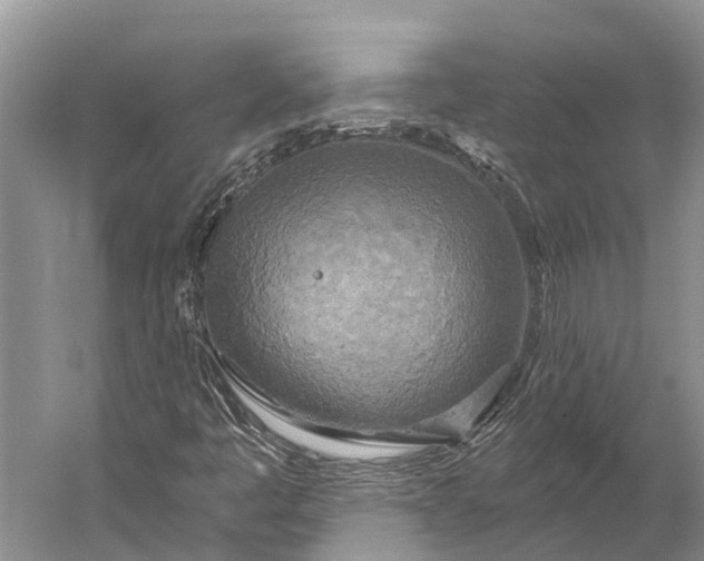 X0000058801445200510171334