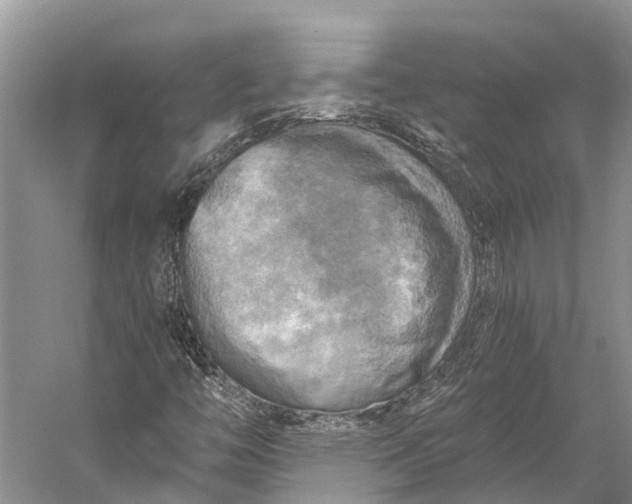 X0000058801446200510171334