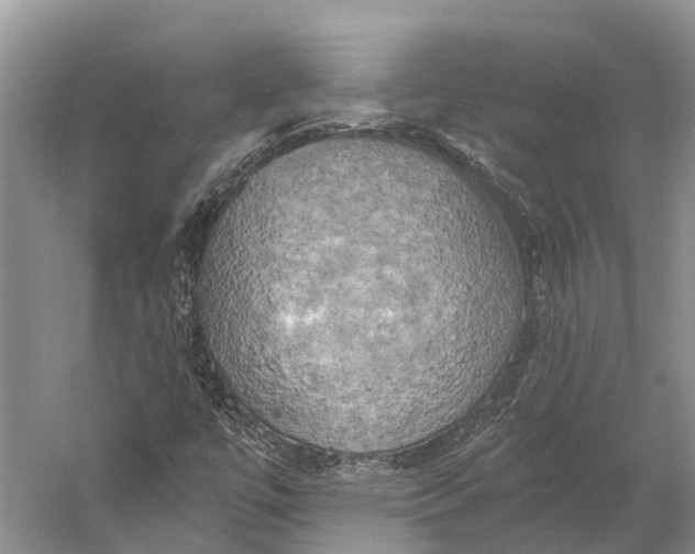 X0000058801447200510171334