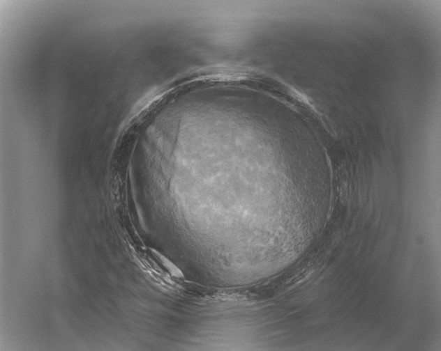 X0000058801448200510171334