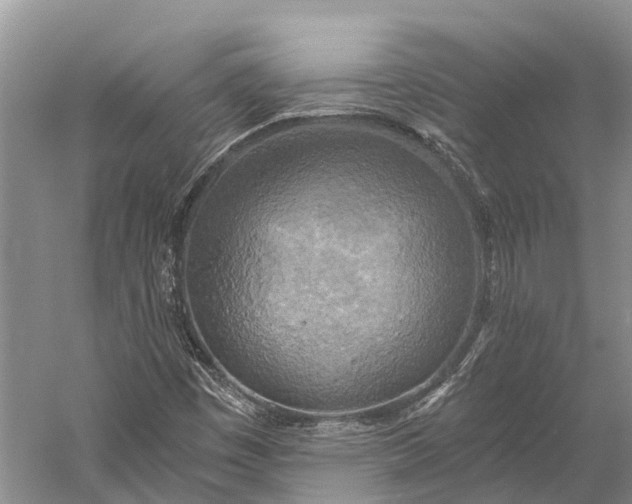 X0000058801449200510171334