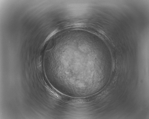 X0000058801450200510171334