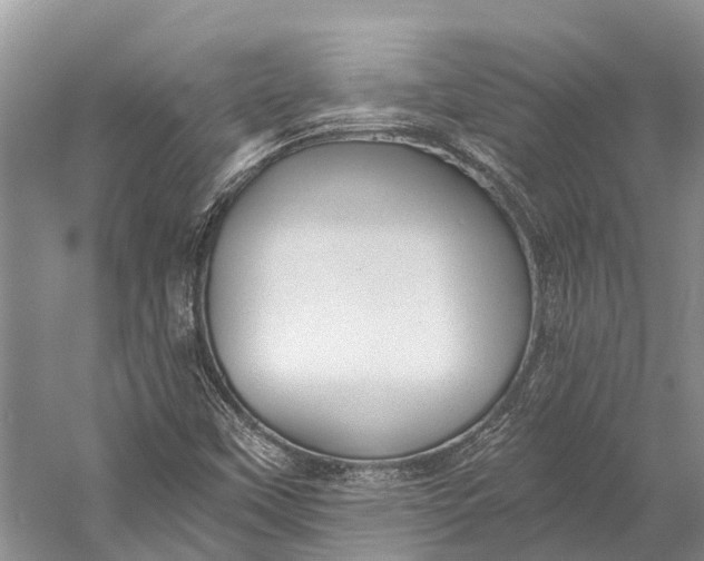 X0000058801451200510171334