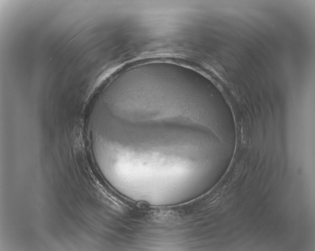 X0000058801452200510171334