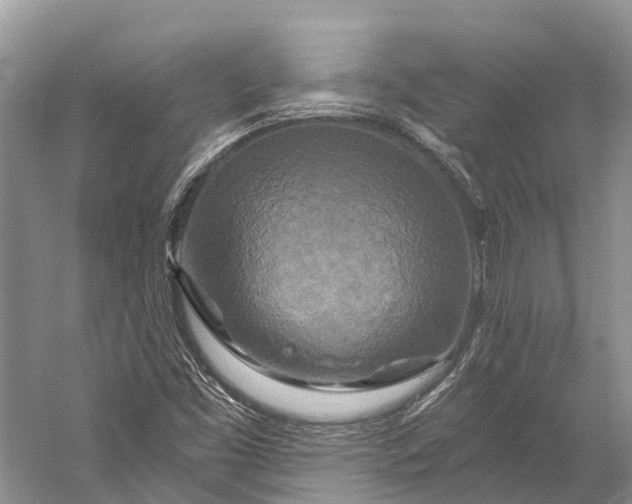 X0000058801453200510171334