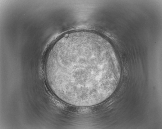 X0000058801454200510171334