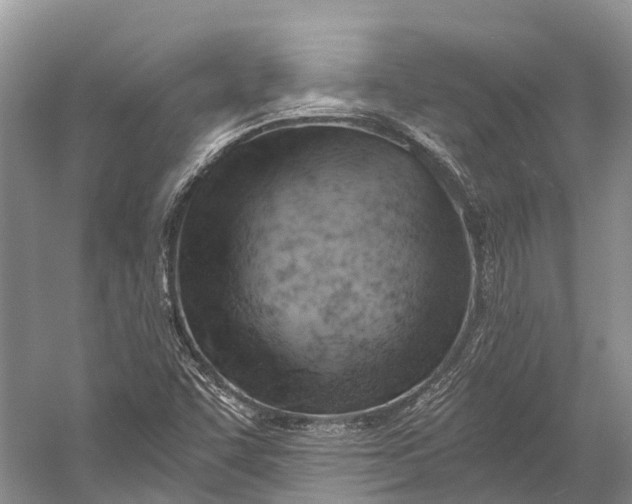 X0000058801455200510171334