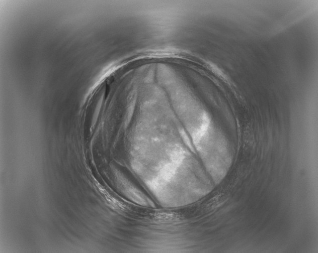 X0000058801456200510171334