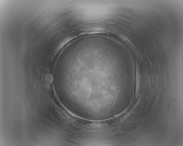 X0000058801457200510171334