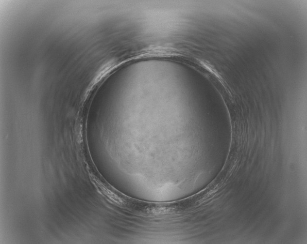 X0000058801459200510171334