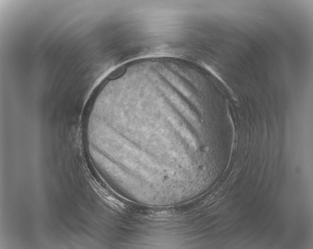 X0000058801460200510171334