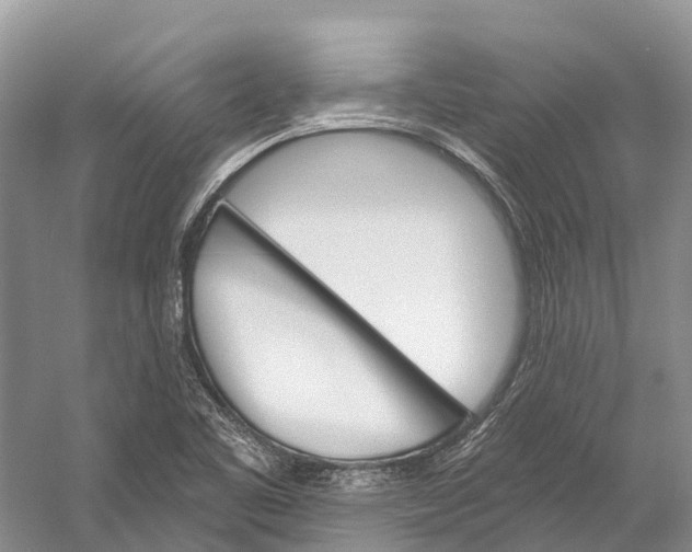 X0000058801461200510171334