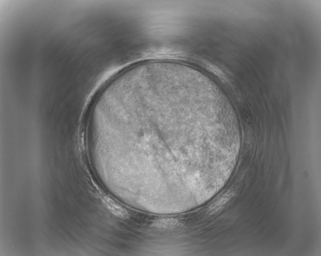 X0000058801462200510171334