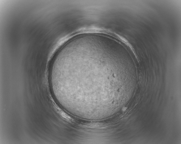 X0000058801464200510171334