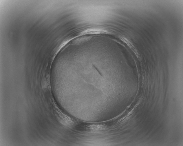 X0000058801465200510171334