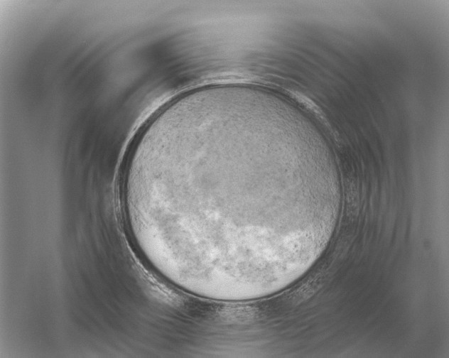 X0000058801466200510171334