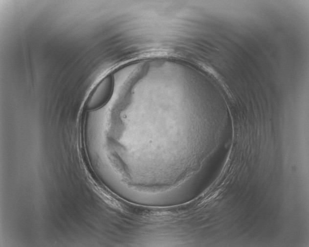 X0000058801467200510171334