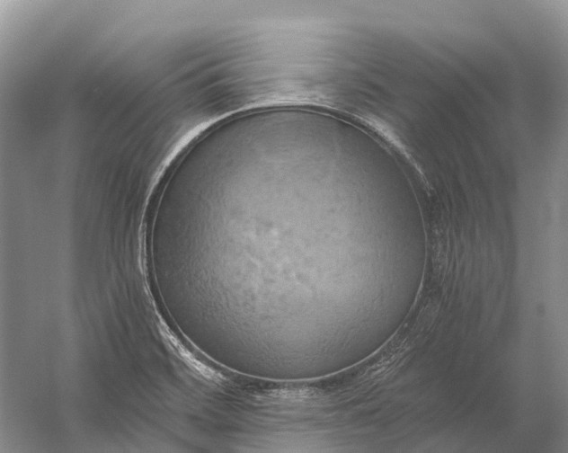 X0000058801468200510171334