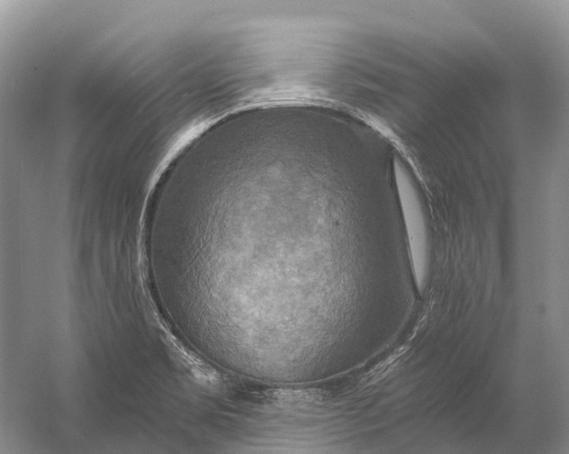 X0000058801469200510171334