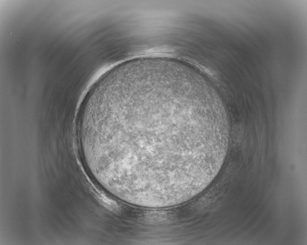 X0000058801470200510171334