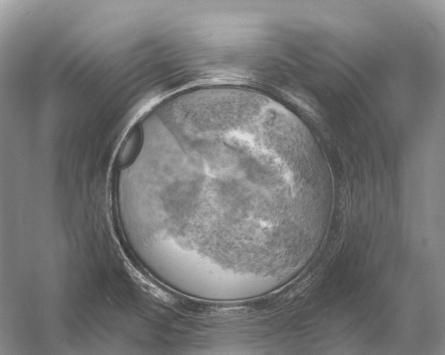 X0000058801471200510171334