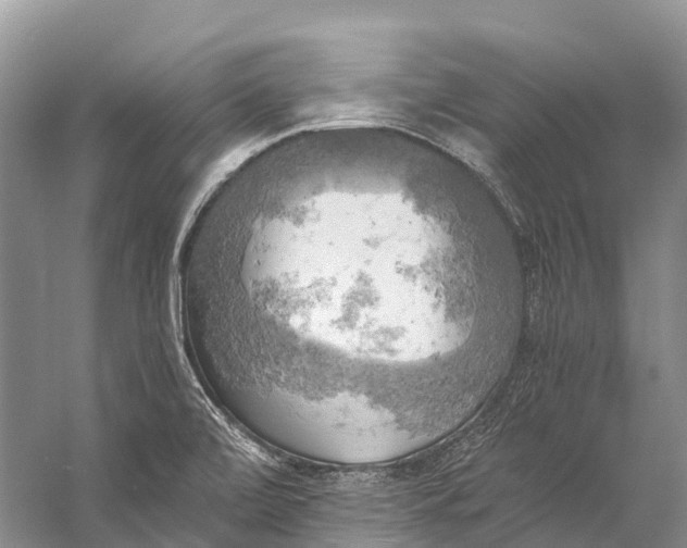 X0000058801472200510171334