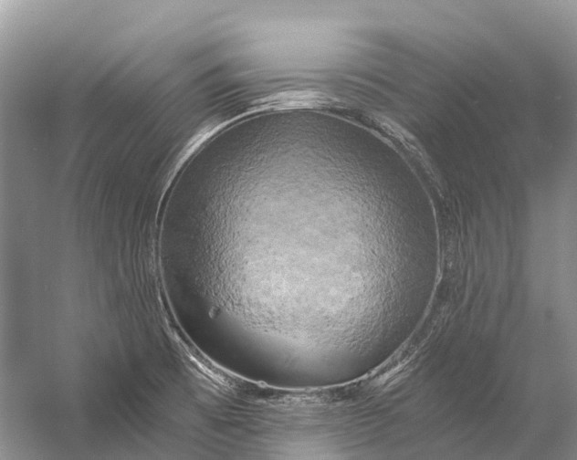 X0000058801473200510171334