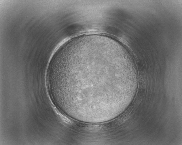 X0000058801474200510171334