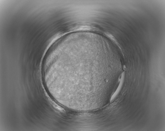 X0000058801475200510171334