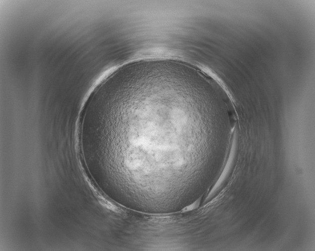 X0000058801477200510171334