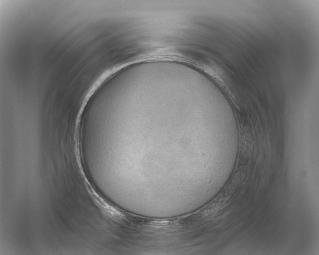 X0000058801478200510171333