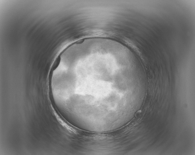 X0000058801479200510171333