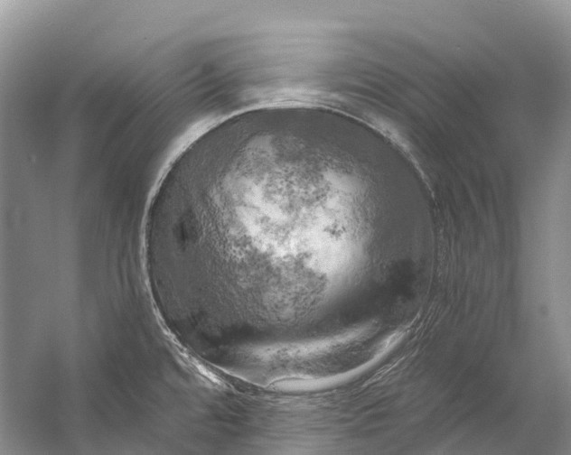 X0000058801480200510171333