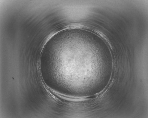 X0000058801481200510171333