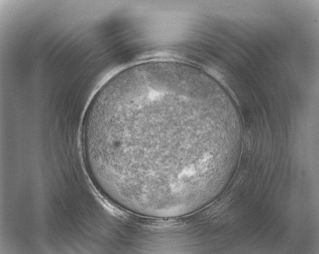 X0000058801482200510171333