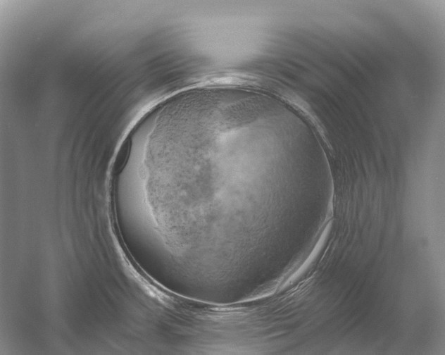 X0000058801483200510171333